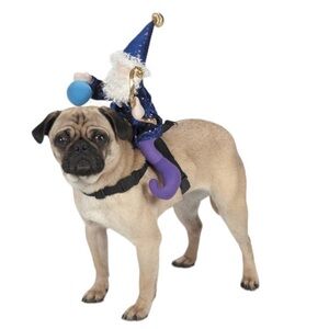 NWT Zack & Zoey Wizard Saddle Costume